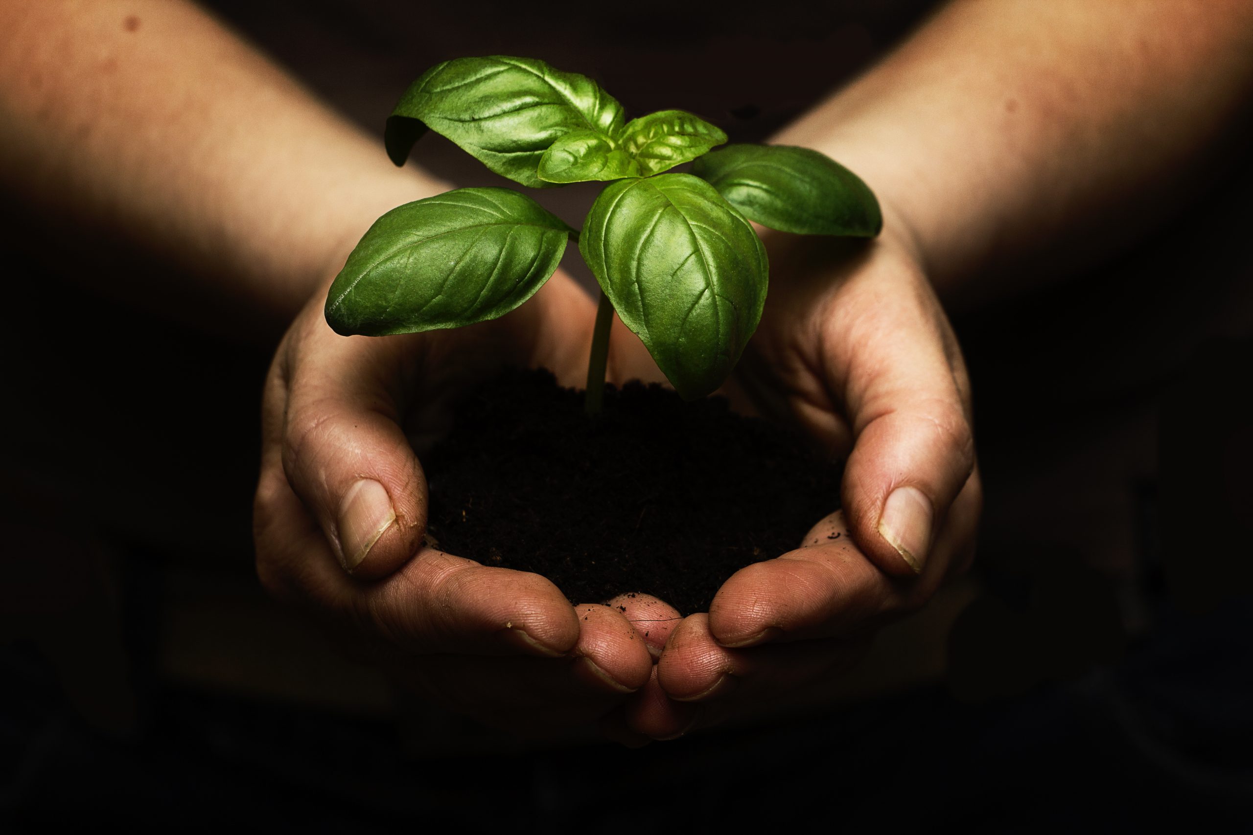ALI-441 : Morality and Religion - The Academy for Learning Islam